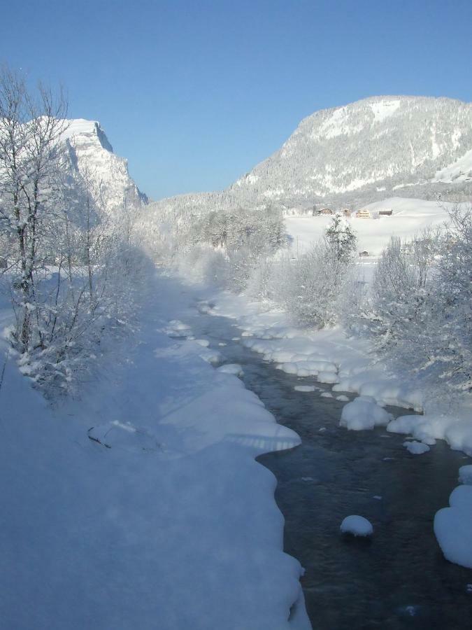 Ruef Wohlfuehl-Apartments Au (Vorarlberg) Exteriör bild